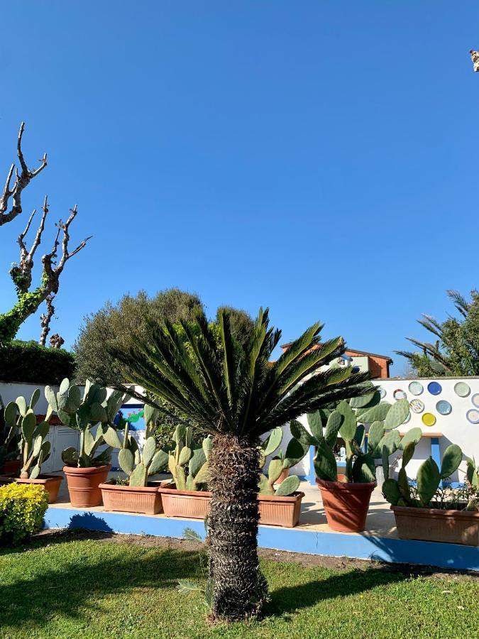 Casa Vacanze Costa Marina Fregenae Exteriér fotografie