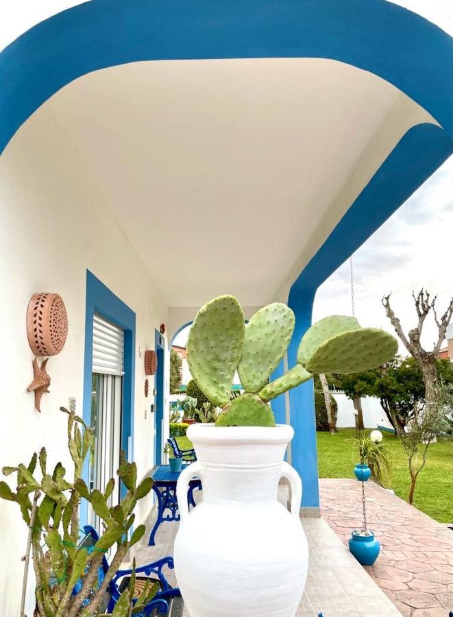Casa Vacanze Costa Marina Fregenae Exteriér fotografie
